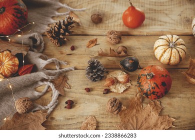 Autumn still life. Cute pumpkins, autumn leaves, cones, walnuts, cozy scarf on rustic wooden table in farmhouse. Fall in rural home. Happy Thanksgiving. Fall banner - Powered by Shutterstock