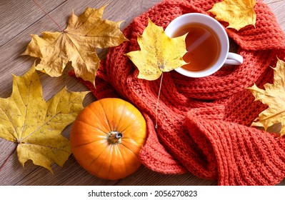 Autumn Still Life With Fragrant Cinnamon Tea, Scarf, Pumpkins And Yellow Maple Leaves. Fall Concept.Selective Focus. Shallow Depth Of Field. Top View