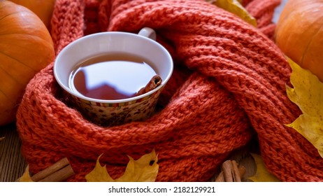 Autumn Still Life With Fragrant Cinnamon Tea, Scarf, Pumpkins And Yellow Maple Leaves. Fall Concept. Shallow Depth Of Field. Top View. Selective Focus. 