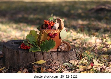 Autumn Still Life On A Tree Stump: Mushrooms, Mountain Ash. Against The Background Of The Ground, Strewn With Fallen Leaves.