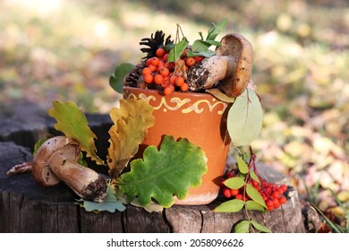 Autumn Still Life On A Tree Stump In A Park Of Leaves, Mushrooms And Mountain Ash