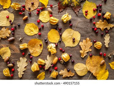 Autumn still life with orange caramel and cranberries on wood - Shutterstock ID 490157155