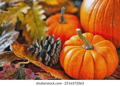 Autumn still life with pumkins and fall leaves  - Powered by Shutterstock