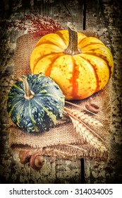 Autumn still-life with pumpkins in rustic setting