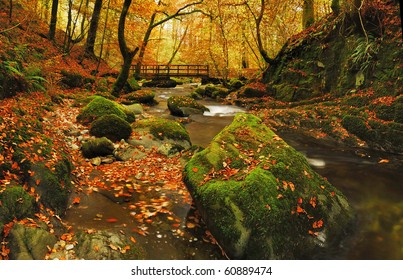 Autumn at Stockghyll in the English Lake District