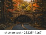 Autumn Stone Bridge Acadia National Park Carriage Roads Fall Foliage Beautiful Colorful Nature Landscape Photography Orange Trees Paved Street