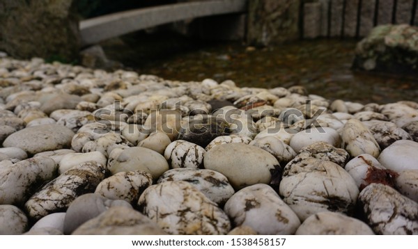 Autumn Stones Japanischer Garten Freiburg Stock Photo Edit Now