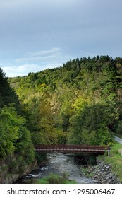 Autumn Storm At Lackawanna State Park In Pennsylvana