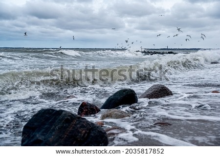 Autumn storm on the Schleswig-Holstein Baltic Sea coast, here on the Kiel Fjord 