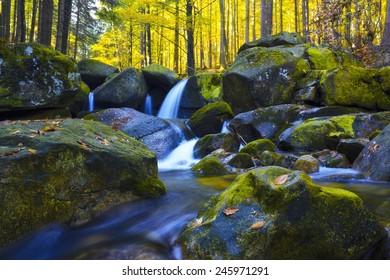 Autumn stream in the forest - Shutterstock ID 245971291