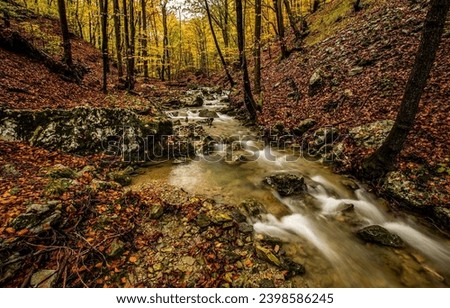 Autumn stream in forest. A stream in the autumn forest. Autumn forest stream flow. Forest stream in autumn