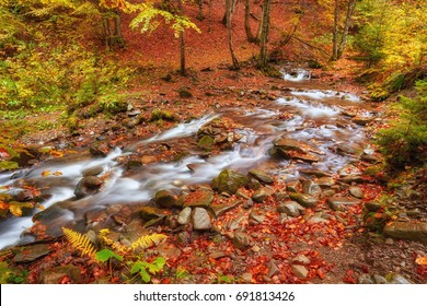 autumn stream in the forest, gold autumn European landscape, wallpaper landscape background - Shutterstock ID 691813426