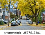 Autumn street scene with colorful foliage in Brighton, Massachusetts, USA