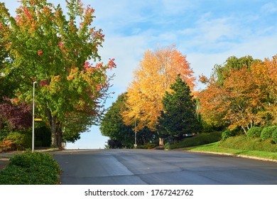 Autumn Street View In Vancouver City In The USA Washington State.