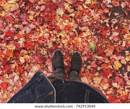 Autumn Stroll