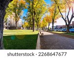 Autumn Stroll at the Town Square