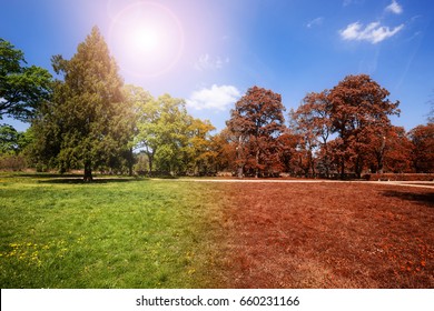 Autumn And Summer Park At Sunny Day