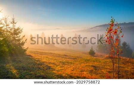 Autumn sunny sunrise over scenic valley. Scenic autumn morning on mountains hills with fog. Fall panoramic landscape.