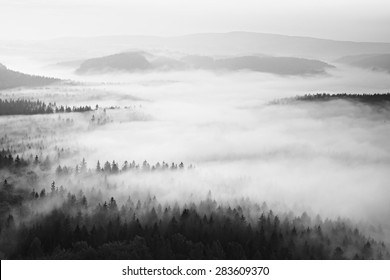 Autumn sunrise in a beautiful mountain within inversion. Peaks of hills increased from foggy background.
