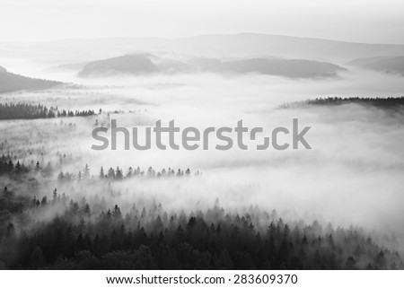 Autumn sunrise in a beautiful mountain within inversion. Peaks of hills increased from foggy background.