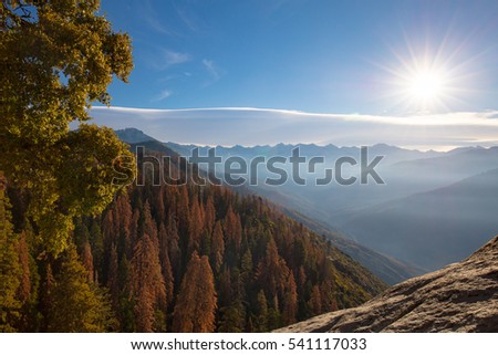 Autumn sunrise over redwood trees at Moro Rock in Sequoia National Park, California, USA