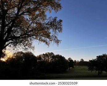 autumn, sunrise, trees, sky, nashville, tennessee - Powered by Shutterstock