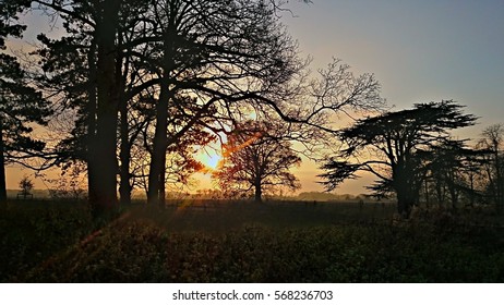 Autumn Sunset At Coombe Country Park Coventry