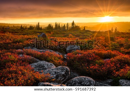 Autumn sunset, Dolly Sods Wilderness, West Virginia