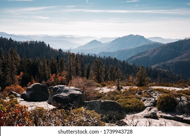 Autumn Sunset Over Redwood Trees In Sequoia National Park, California, USA