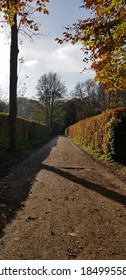 Autumn Sunshine On An English Country Lane