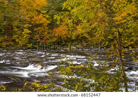 Autumn, Tellico River, Cherokee National Forest, TN
