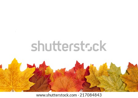 Autumn Thanksgiving Background