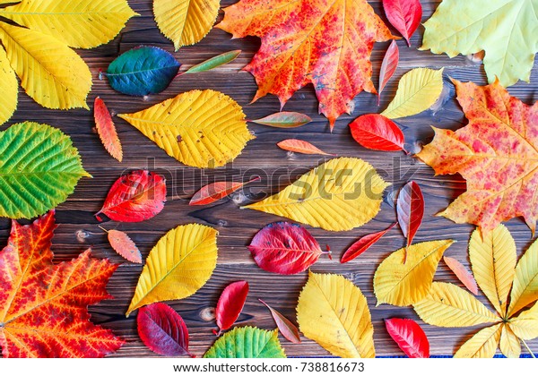Autumn Thanksgiving\
Background