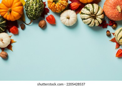 Autumn Thanksgiving Background. Pumpkins, Acorns, Walnuts, Physalis And Maple Leaves On Pastel Blue Table Top View. 