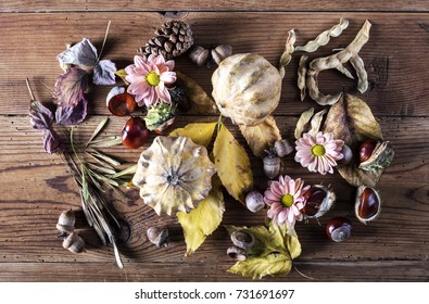 autumn theme