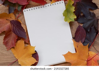 Autumn Theme Background With Leaves Over Oak Wood Table With Notepad, Backdrop