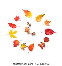 Autumn Time concept. Autumnal bright leaves in shape of clock on white background. symbol of Fall season. flat lay. template for design - Shutterstock ID 1504782962