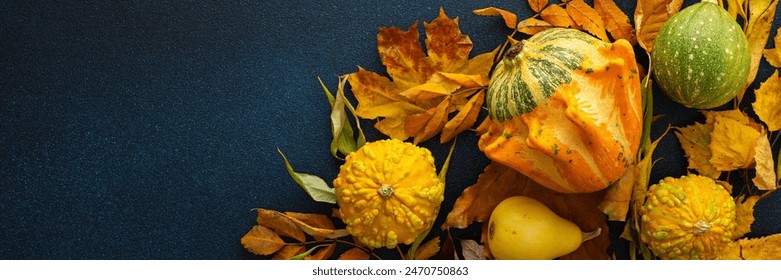 Autumn time, various pumpkins and fallen leaves on a dark blue background, fall harvest, banner - Powered by Shutterstock
