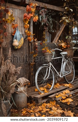 Autumn time. Vintage bicycle with colorful flowers in basket leaning on wooden wall of old atmospheric country house during fall season, string bag with autumn harvest hanging on door