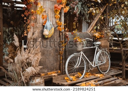 Autumn time. Vintage bicycle with colorful flowers in basket leaning on wooden wall of old atmospheric country house during fall season, string bag with autumn harvest hanging on door