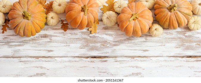 Autumn Top Border With Frosty Orange Pumpkins On A Rustic White Wood Banner Background. Above View With Copy Space.