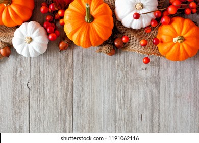 Autumn top border of orange and white pumpkins and berries on a light gray wood background with copy space