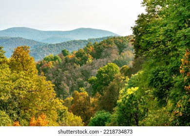 Autumn Tree Background In Pilis Mountains On Hungarian Walking Trail From Above .