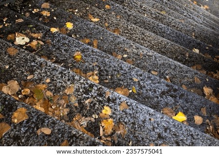 Similar – Image, Stock Photo autumn of spectators