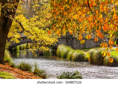 Autumn tree and river at Christchurch, South Island, New Zealand.