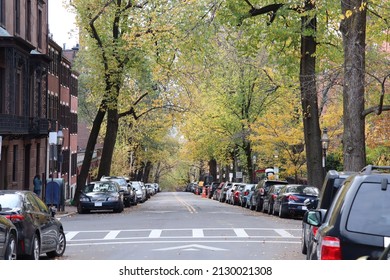 An Autumn Tree Tunnel In Mt Vernon Street, Beacon Hill, Boston