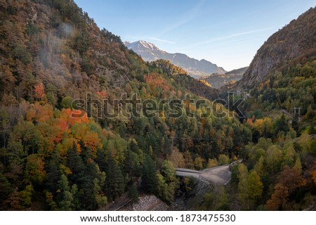 AUtumn Tree valley with Mount Perdido in background, in Aragon, SPain