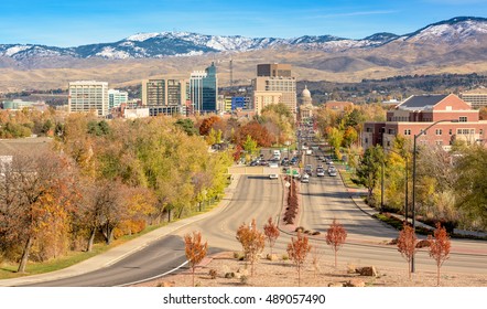 Autumn trees in the city of Boise Idaho