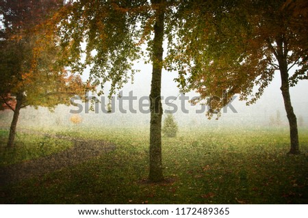 Similar – trees in the fog Fog Light