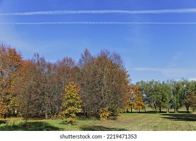 Autumn Trees In The European Park At Sunny October Day On Blue Sky With Plane Vapor Exhaust Background